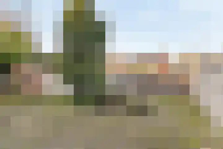 Dalemsestraat 31 Tholen thumbnail 5