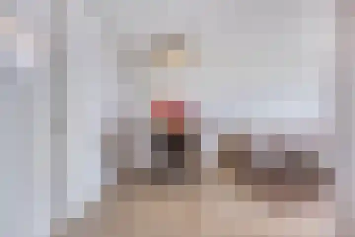 Dalenbeek 13 Beverwijk thumbnail 9