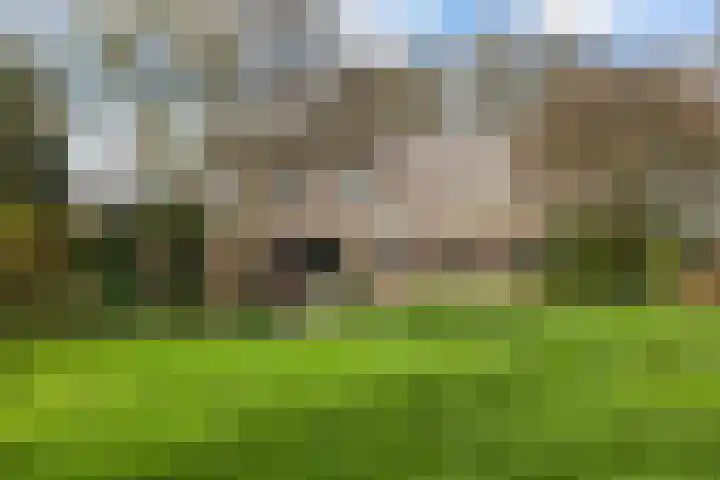 Dalerstraat 33 Erm thumbnail 10