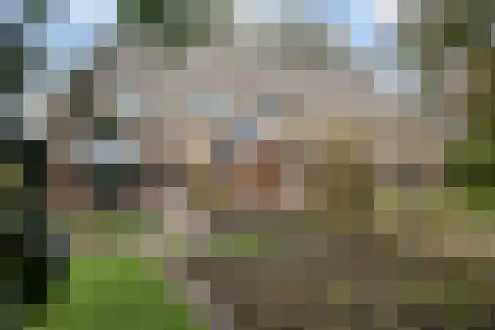 Dalerstraat 33 Erm thumbnail 11