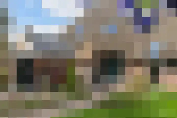 Dalerstraat 33 Erm thumbnail 12