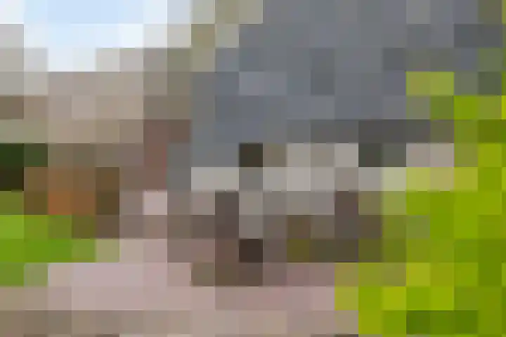 Dalerstraat 33 Erm thumbnail 14