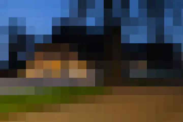 Dalerstraat 33 Erm thumbnail 17