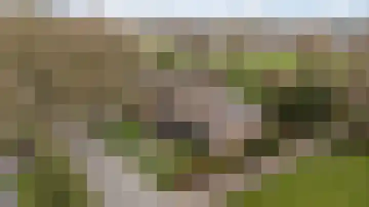 Dalerstraat 33 Erm thumbnail 5