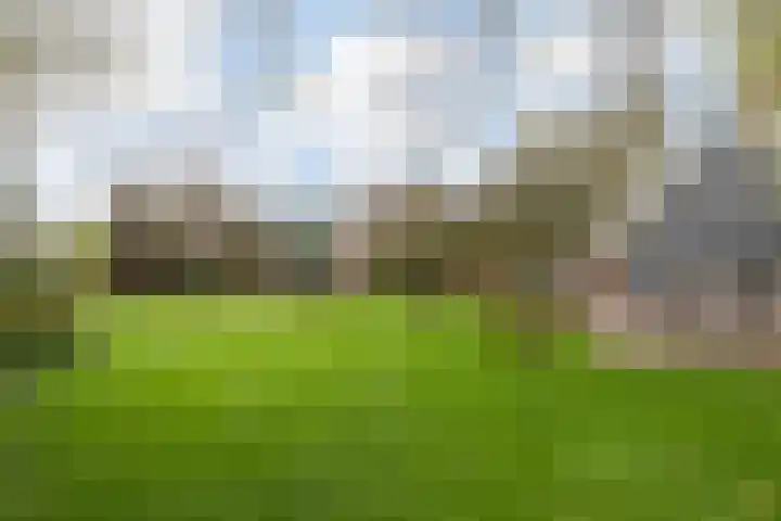 Dalerstraat 33 Erm thumbnail 8