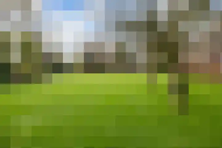 Dalerstraat 33 Erm thumbnail 9