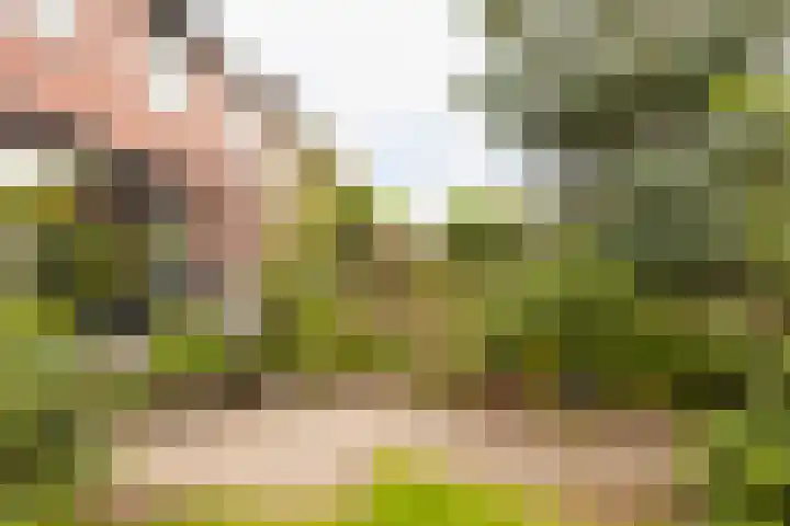 Dalerveen 23 Ede thumbnail 34