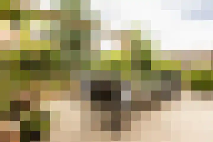 Dalerveen 23 Ede thumbnail 4