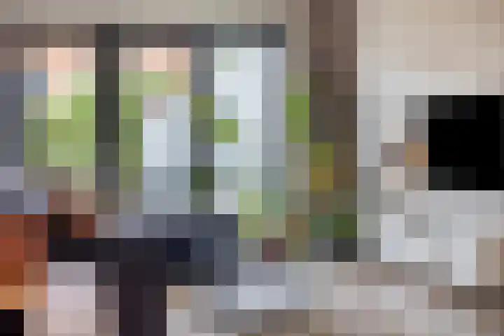 Dalidastraat 4 Lent thumbnail 11