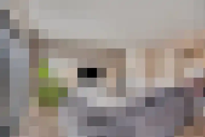 Dalidastraat 4 Lent thumbnail 12