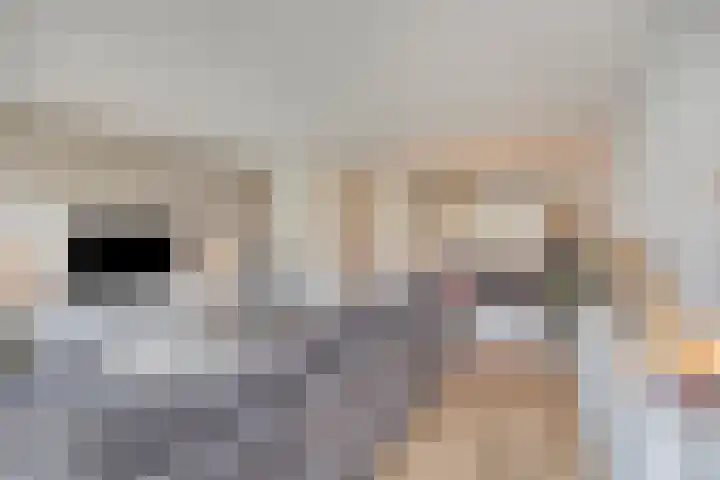 Dalidastraat 4 Lent thumbnail 14