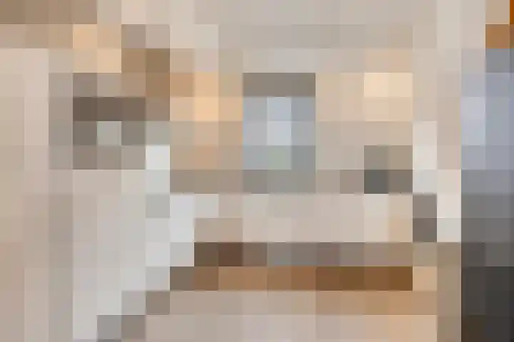 Dalidastraat 4 Lent thumbnail 17
