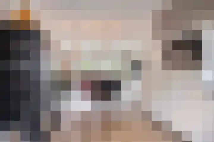 Dalidastraat 4 Lent thumbnail 19
