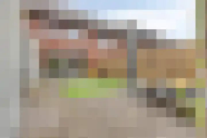 Dalidastraat 4 Lent thumbnail 20