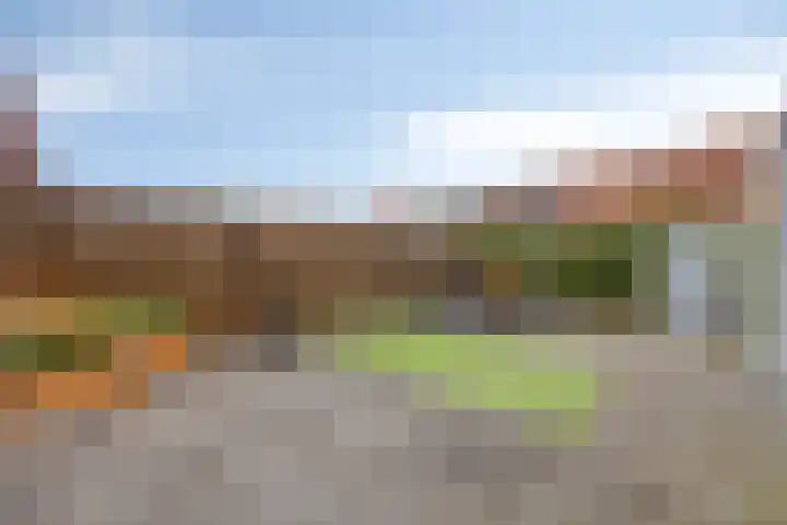 Dalidastraat 4 Lent thumbnail 22