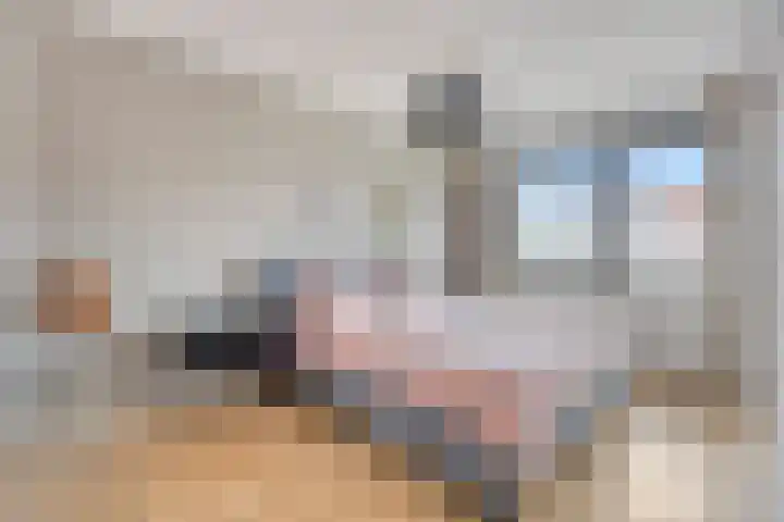 Dalidastraat 4 Lent thumbnail 24