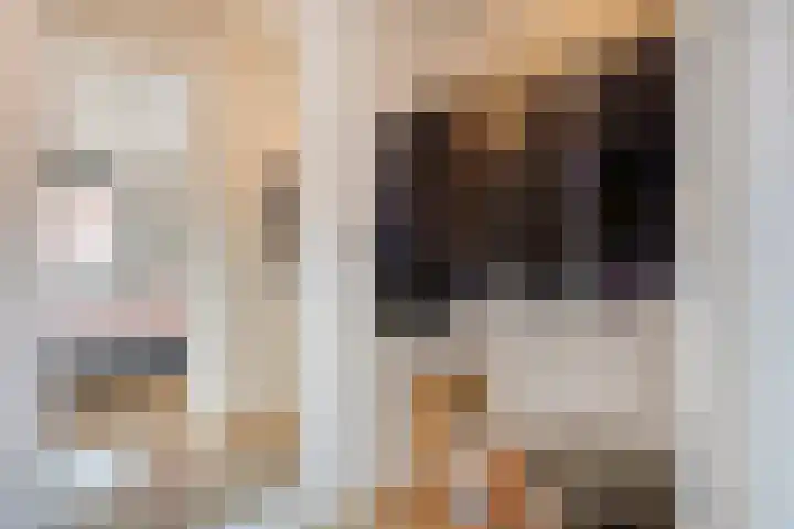 Dalidastraat 4 Lent thumbnail 26