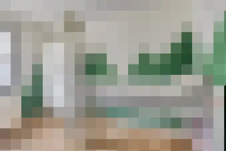 Dalidastraat 4 Lent thumbnail 28