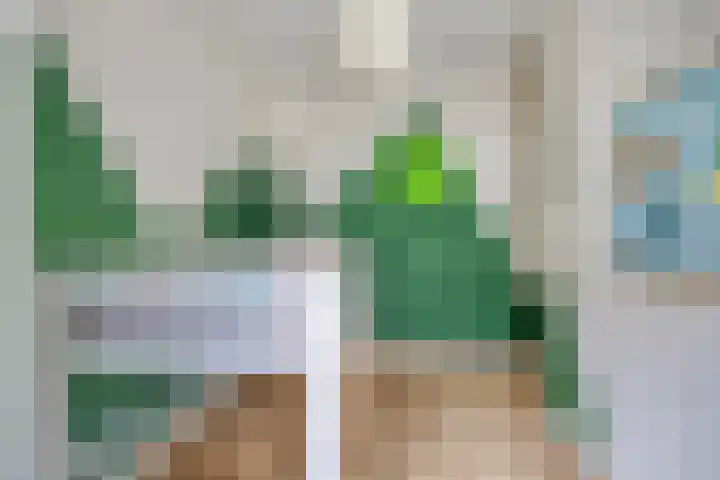 Dalidastraat 4 Lent thumbnail 29