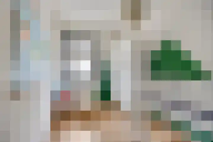 Dalidastraat 4 Lent thumbnail 30