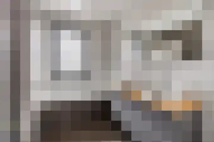 Dalidastraat 4 Lent thumbnail 34