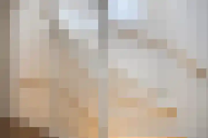 Dalidastraat 4 Lent thumbnail 37