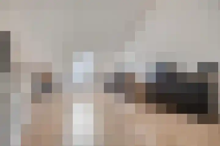 Dalidastraat 4 Lent thumbnail 40