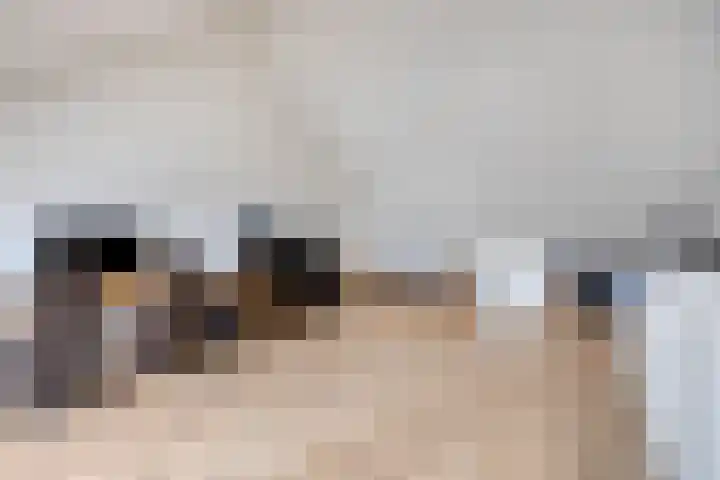 Dalidastraat 4 Lent thumbnail 41
