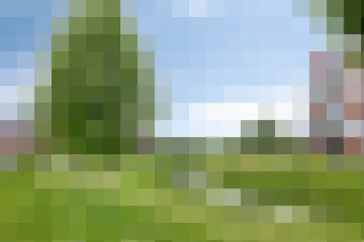 Dalidastraat 4 Lent thumbnail 42