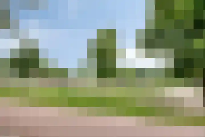 Dalidastraat 4 Lent thumbnail 43