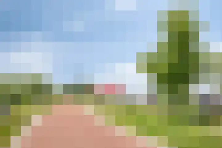 Dalidastraat 4 Lent thumbnail 44