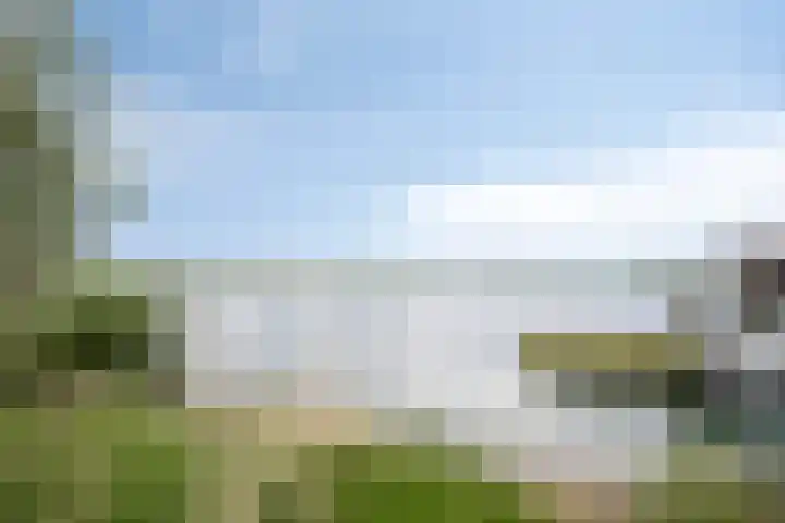 Dalidastraat 4 Lent thumbnail 45