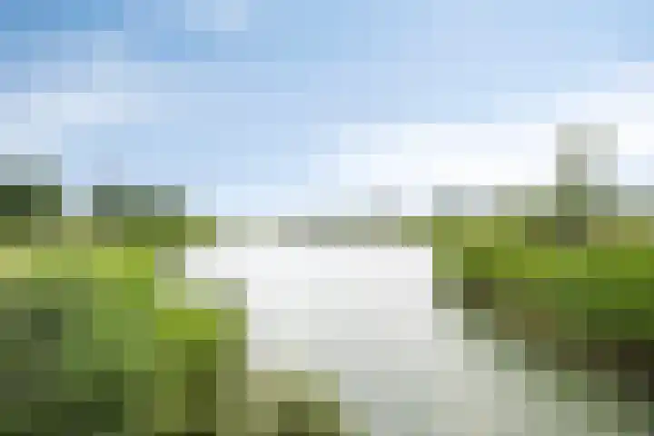 Dalidastraat 4 Lent thumbnail 46