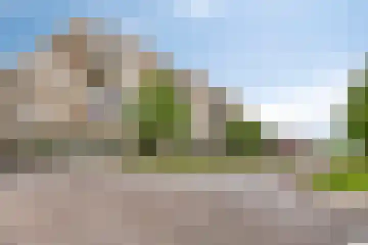 Dalidastraat 4 Lent thumbnail 47