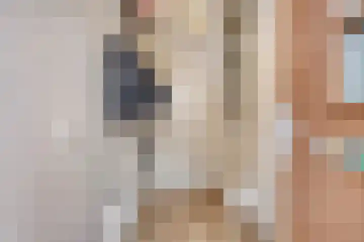 Dalidastraat 4 Lent thumbnail 7