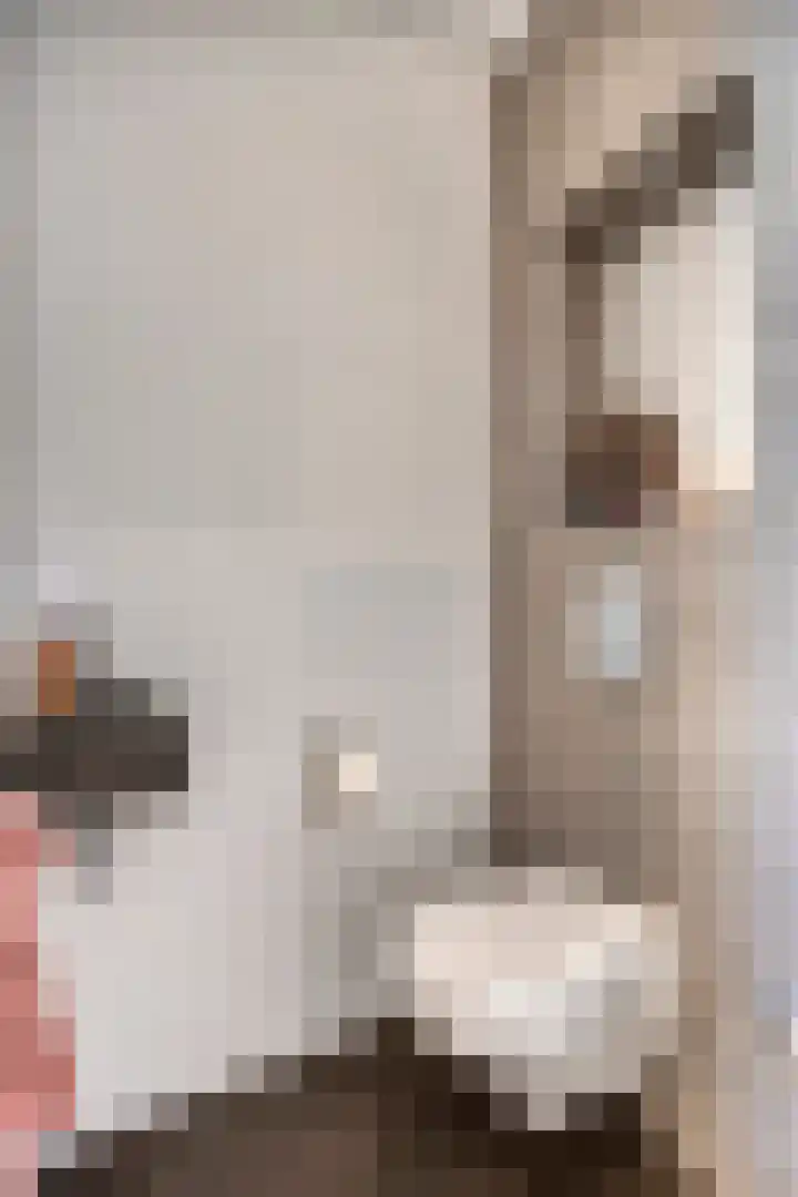Dalidastraat 4 Lent thumbnail 9