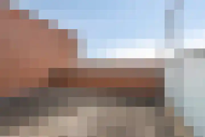 Daliënwaerd 85 's-Hertogenbosch thumbnail 28