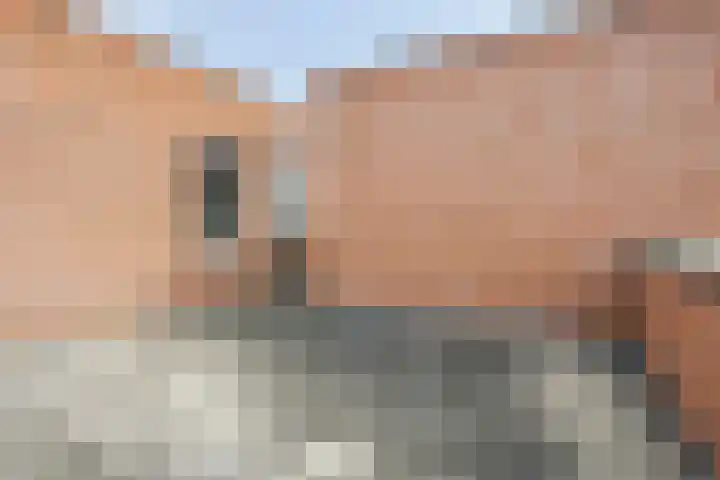 Daliënwaerd 85 's-Hertogenbosch thumbnail 29