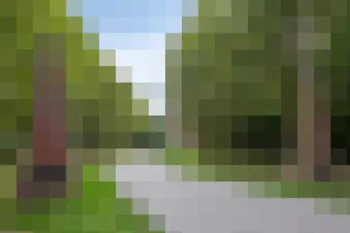 Daliënwaerd 85 's-Hertogenbosch thumbnail 37
