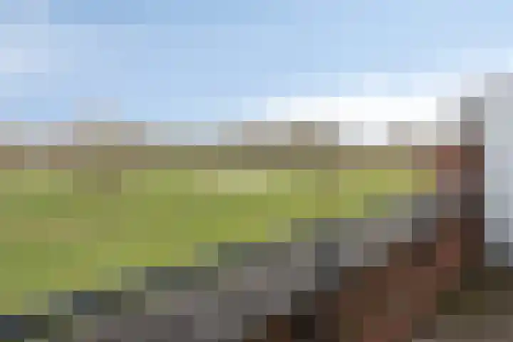 Daliënwaerd 85 's-Hertogenbosch thumbnail 4