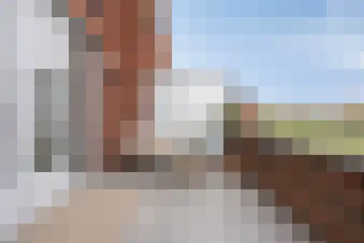 Daliënwaerd 85 's-Hertogenbosch thumbnail 6
