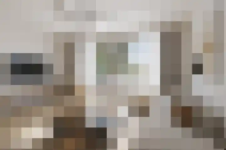 Daliënwaerd 85 's-Hertogenbosch thumbnail 8