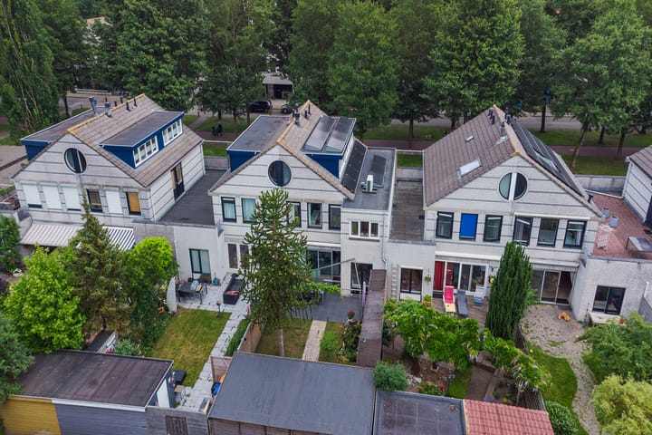 Dalkruid 32 in Zeewolde foto