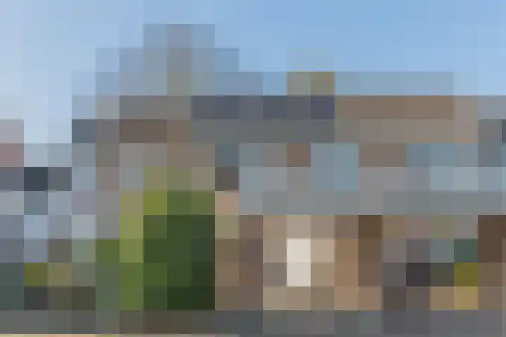 Dalkruid 34 dans Mierlo