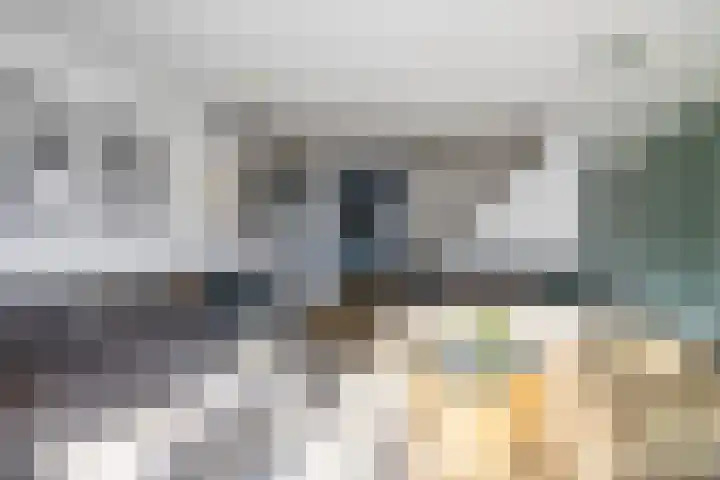 Dalkruid 34 Amersfoort thumbnail 10