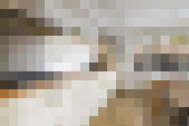 Dalkruid 34 Amersfoort thumbnail 16