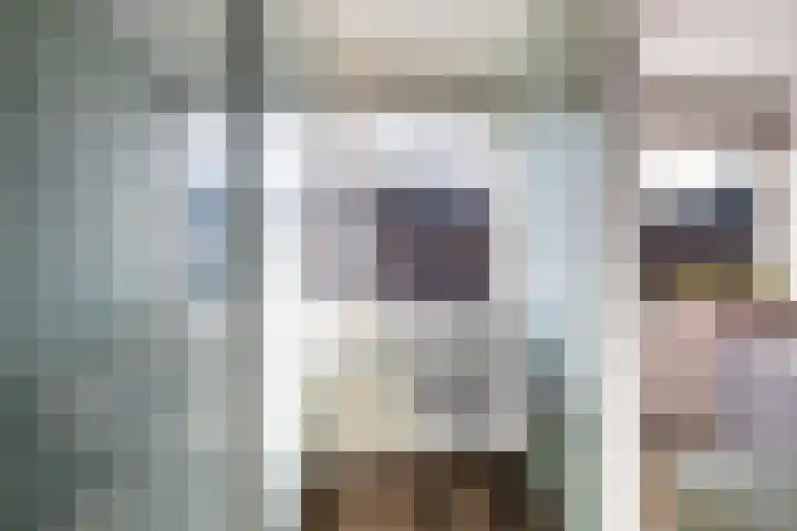 Dalkruid 34 Amersfoort thumbnail 27