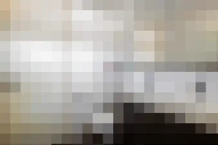 Dalkruid 34 Amersfoort thumbnail 28