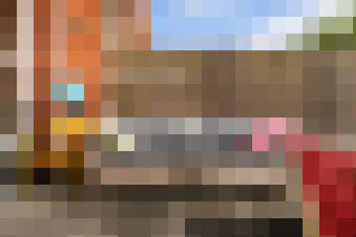 Dalkruid 34 Amersfoort thumbnail 41