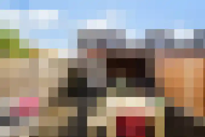 Dalkruid 34 Amersfoort thumbnail 42
